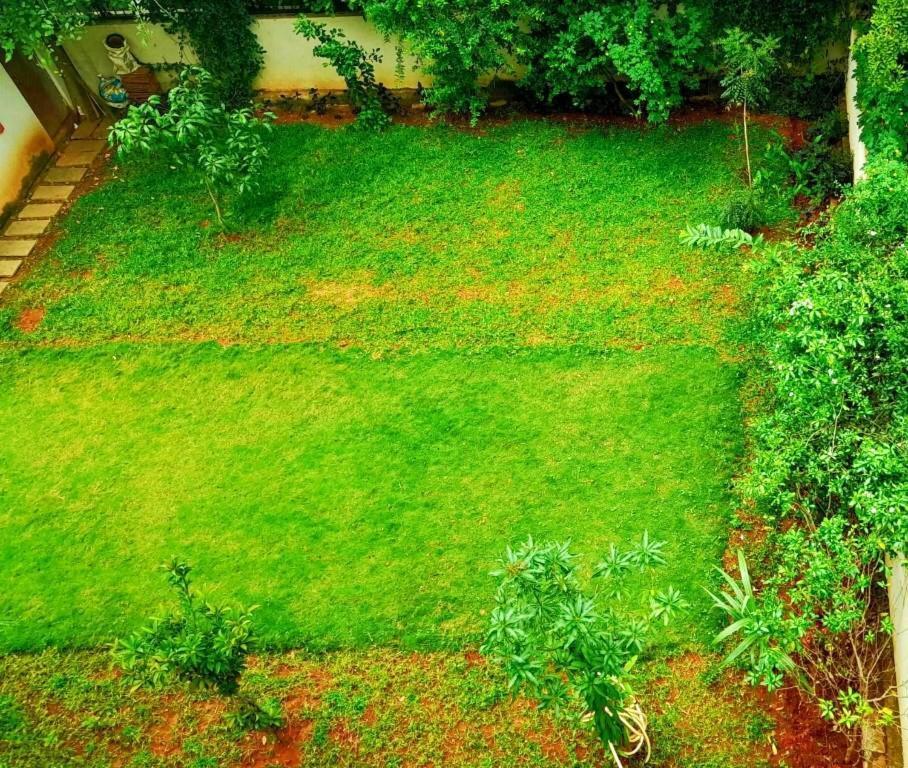 Tulip Villa بنغالور المظهر الخارجي الصورة